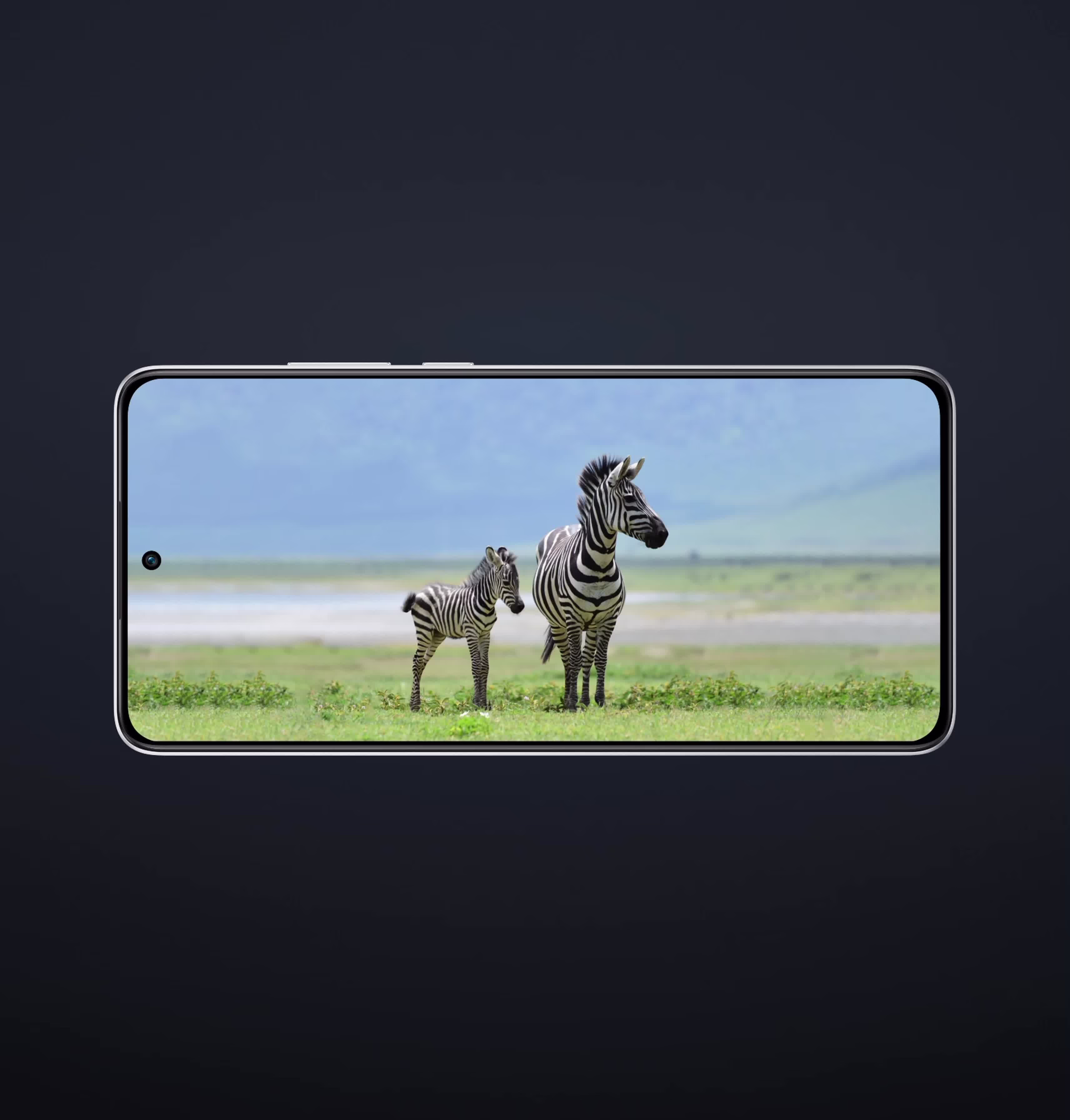 Video Image